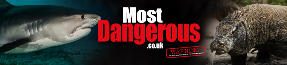 the most dangerous