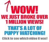 Over 1 milllion views!